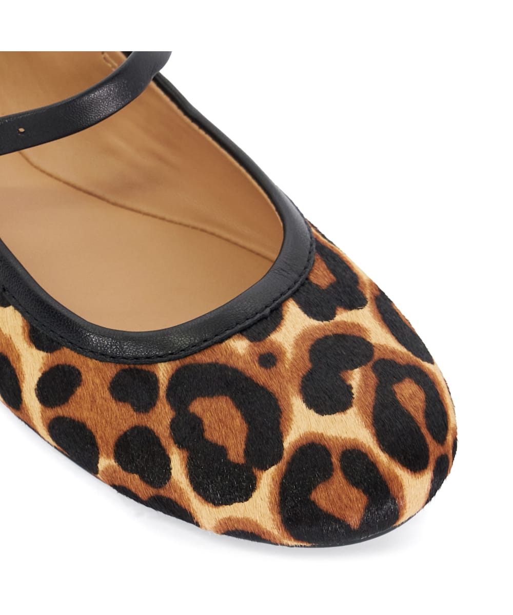 Heida - Leopard